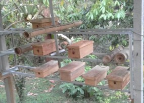 Picture1
